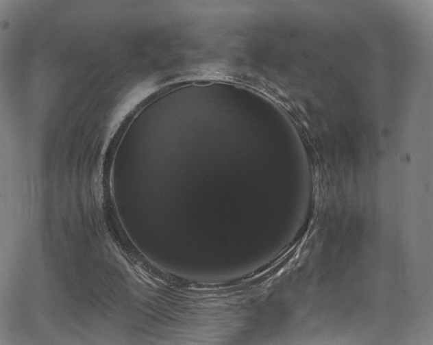 X0000062930200200601131520