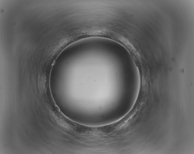 X0000062930201200601131520