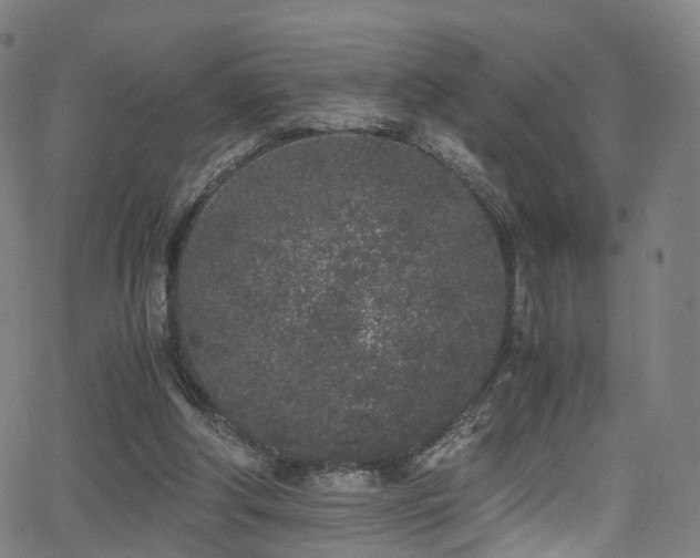 X0000062930202200601131520