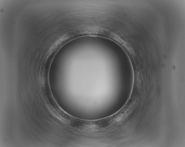 X0000062930203200601131520