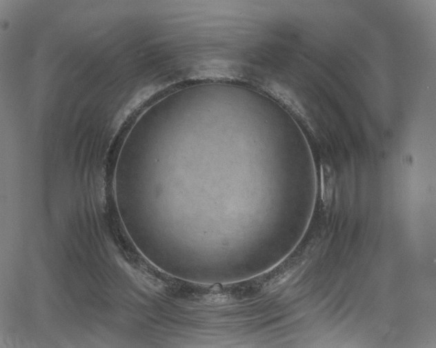 X0000062930204200601131520