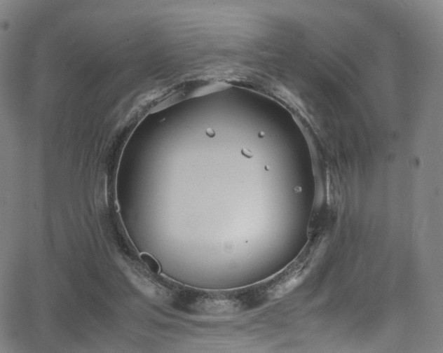 X0000062930205200601131520