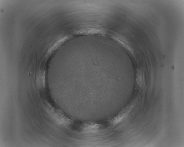 X0000062930206200601131520