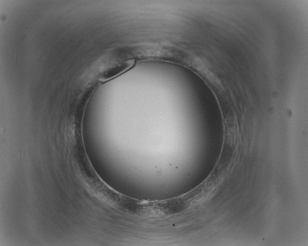 X0000062930207200601131520