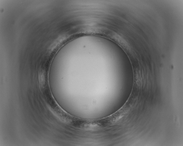 X0000062930208200601131520