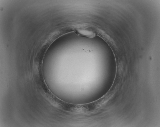 X0000062930209200601131520