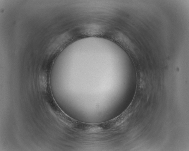 X0000062930210200601131520