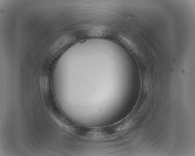 X0000062930211200601131520