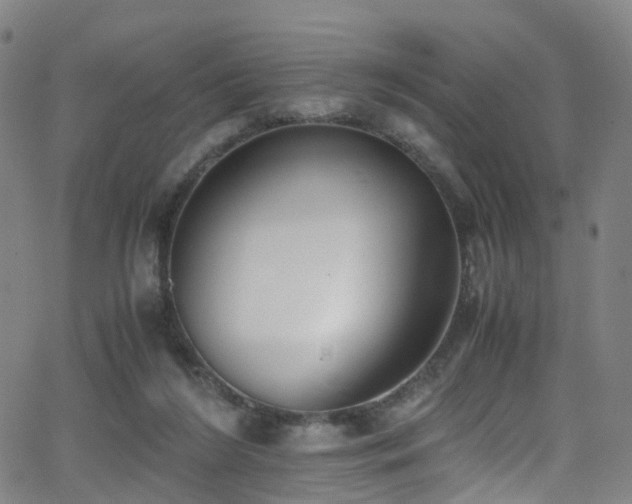 X0000062930212200601131520