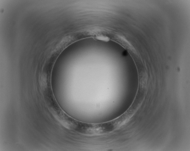 X0000062930213200601131520