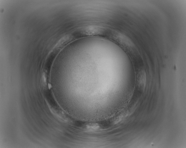 X0000062930214200601131520