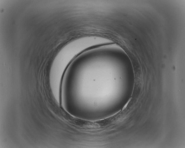 X0000062930215200601131520