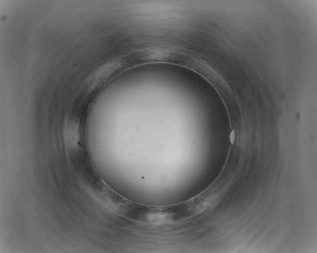 X0000062930216200601131520