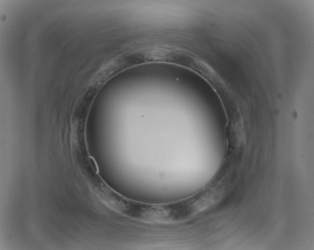 X0000062930217200601131520