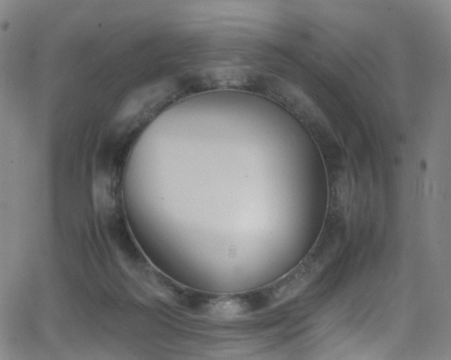 X0000062930218200601131520