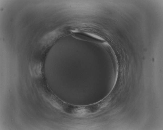 X0000062930219200601131520