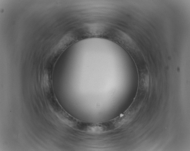 X0000062930220200601131520