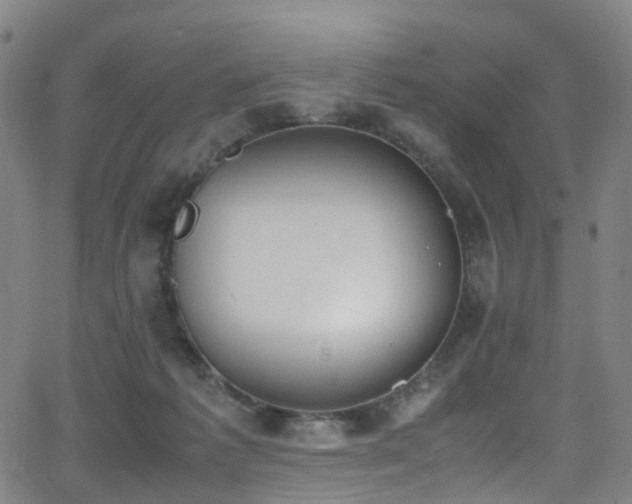 X0000062930221200601131520