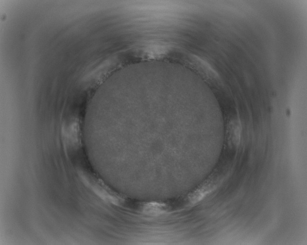 X0000062930222200601131520