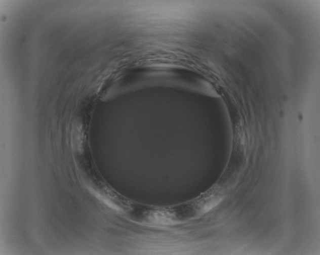 X0000062930223200601131520