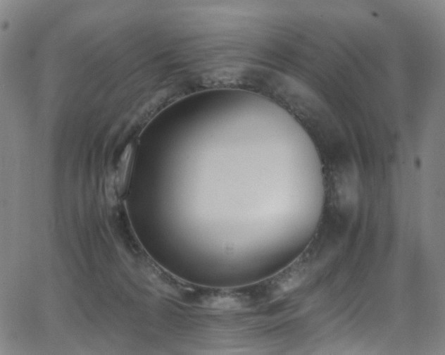 X0000062930224200601131519