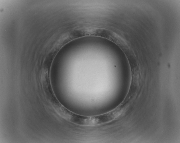 X0000062930225200601131519