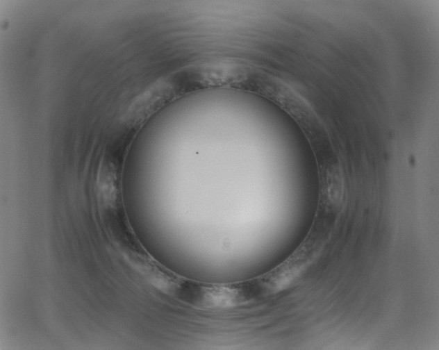 X0000062930226200601131519