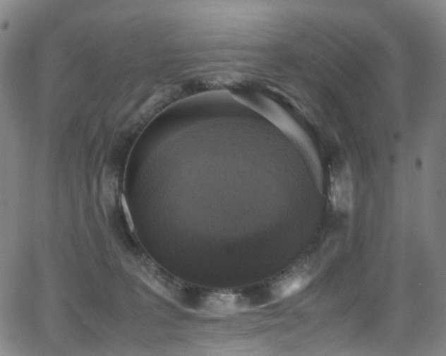 X0000062930227200601131519