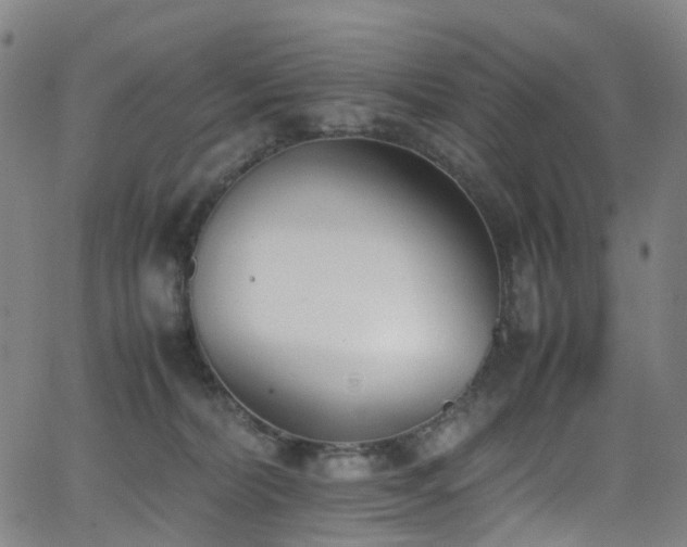 X0000062930228200601131519