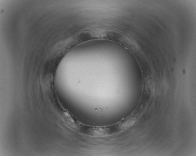 X0000062930229200601131519