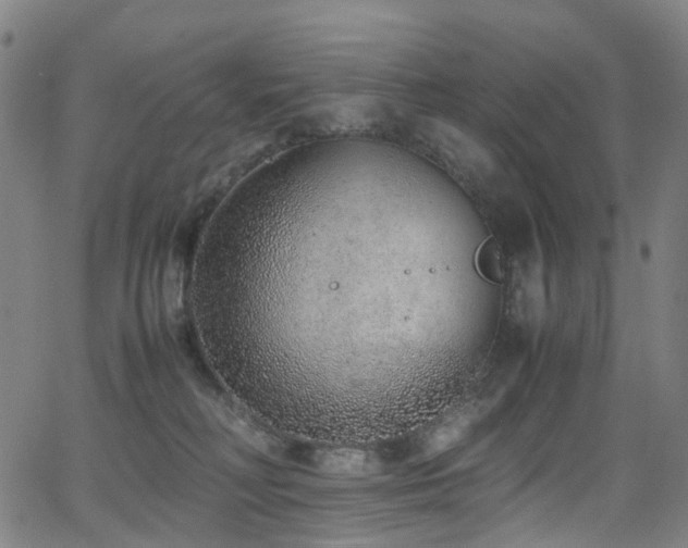 X0000062930230200601131519