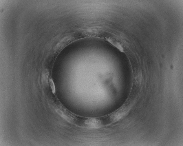 X0000062930231200601131519