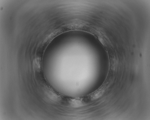 X0000062930232200601131519