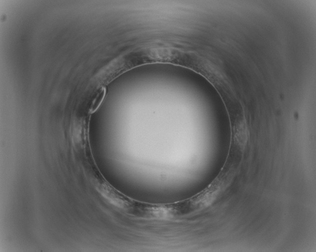 X0000062930233200601131519