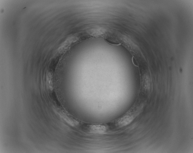 X0000062930234200601131519