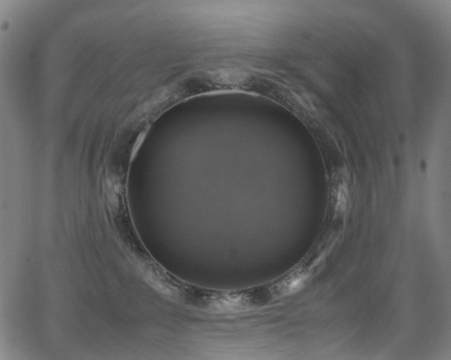 X0000062930235200601131519