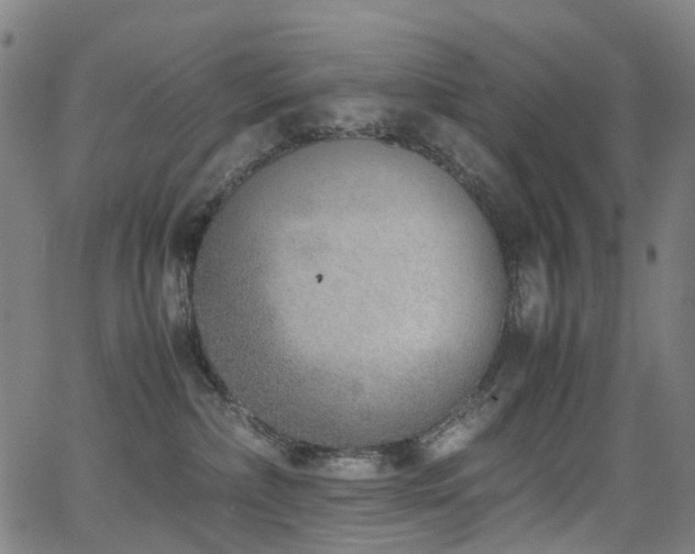 X0000062930236200601131519