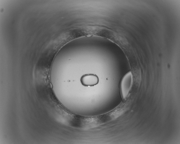 X0000062930237200601131519