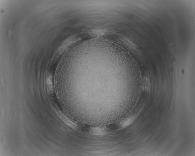 X0000062930238200601131519