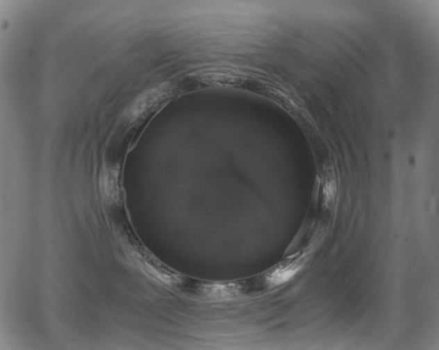 X0000062930239200601131519