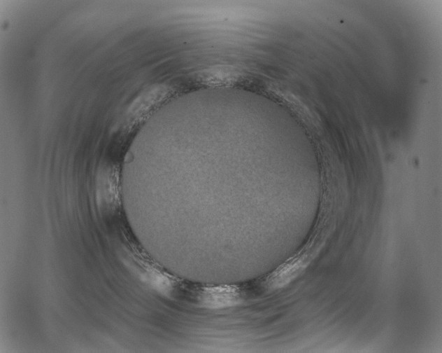 X0000062930240200601131519