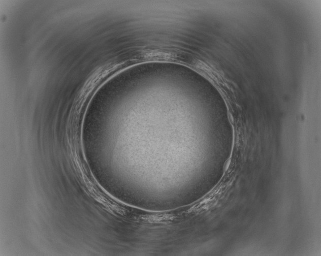 X0000062930241200601131518