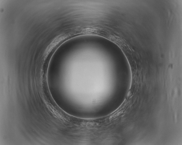 X0000062930242200601131518