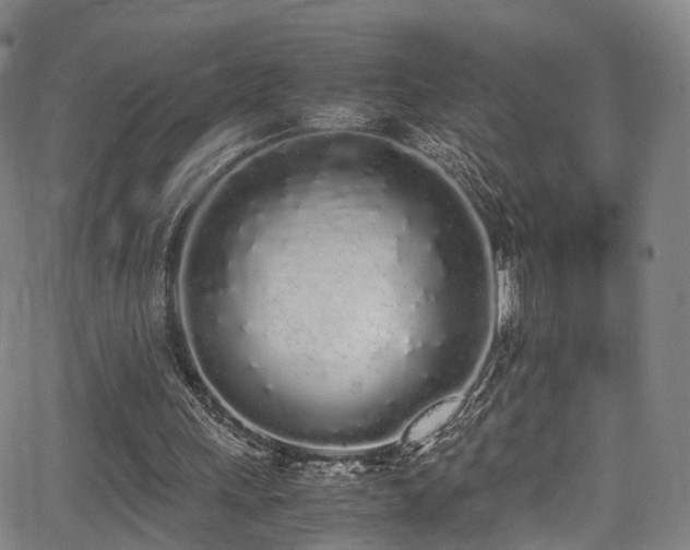 X0000062930243200601131518