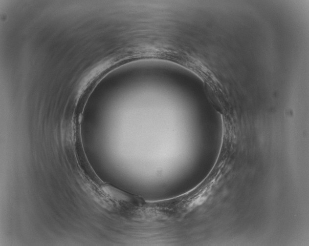 X0000062930244200601131518