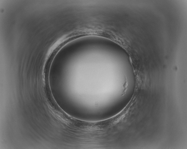 X0000062930246200601131519