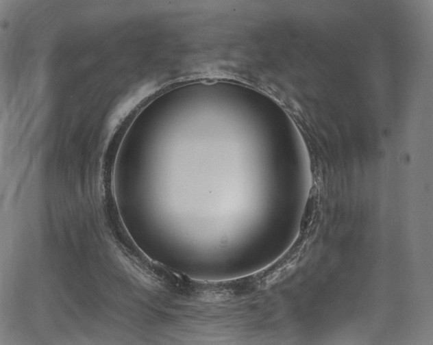 X0000062930248200601131519