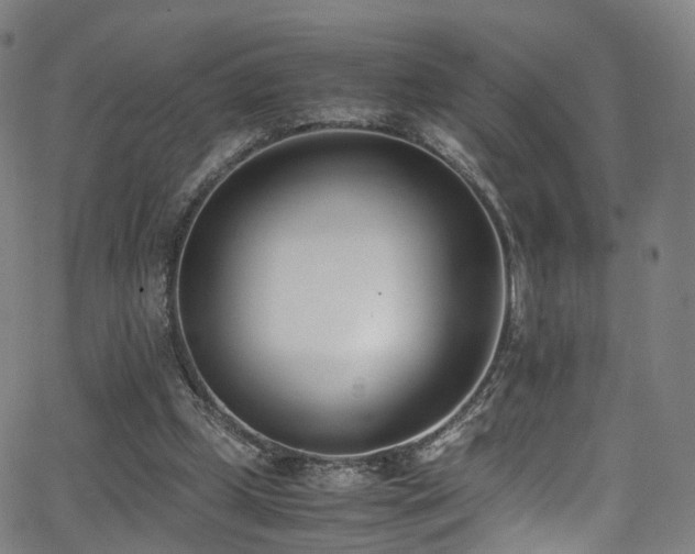 X0000062930249200601131519