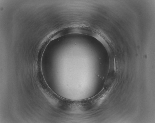 X0000062930252200601131519