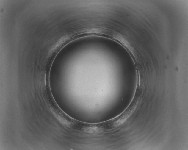 X0000062930253200601131519